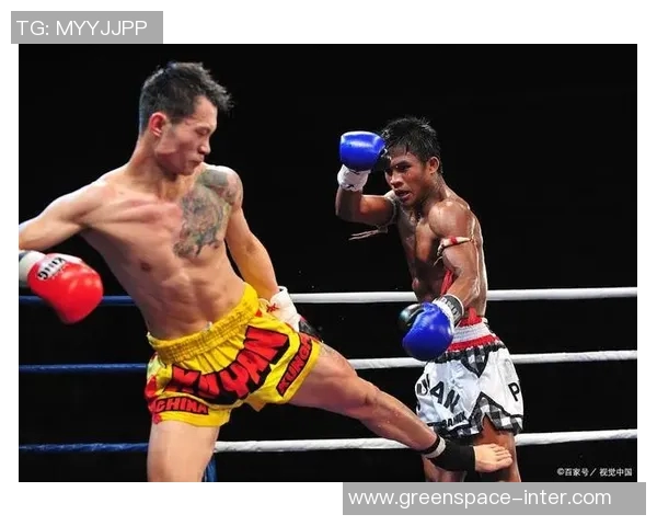 泰拳王播求的传奇人生与不屈精神探索之旅