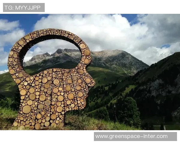 加莱诺的艺术之旅:探索灵感与创作背后的故事与哲学