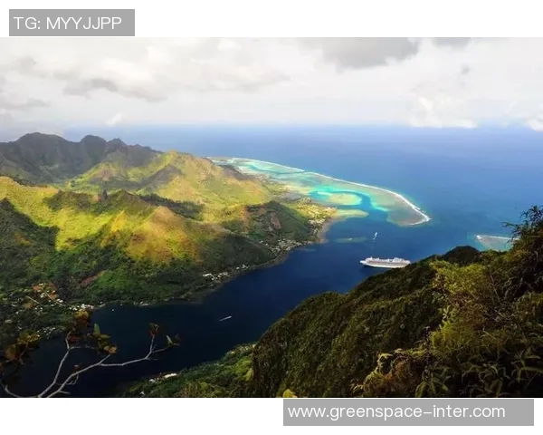 探索马约加的魅力与风情,感受这座海岛的独特文化与自然之美
